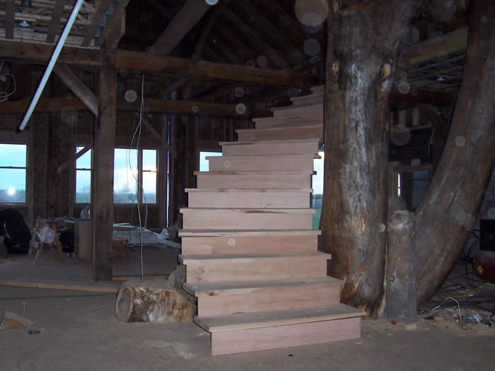 Work in progress stairs being built around the tree